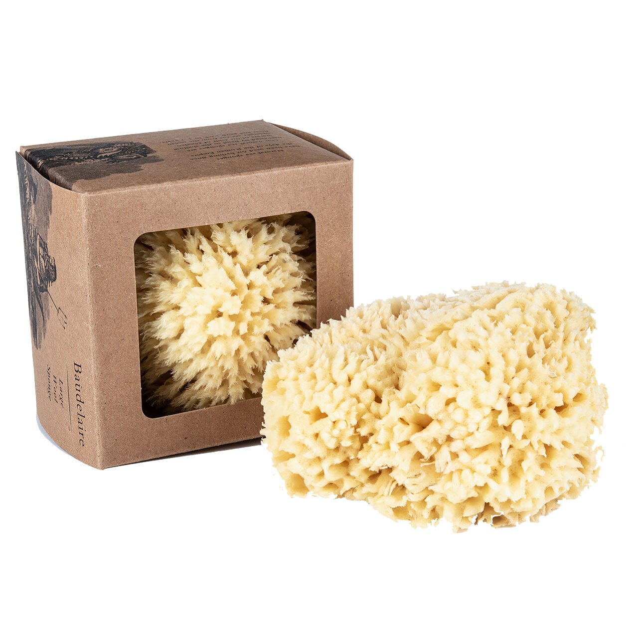 Baudelaire Wool Bath Sponge Sea Sponge Baudelaire Large