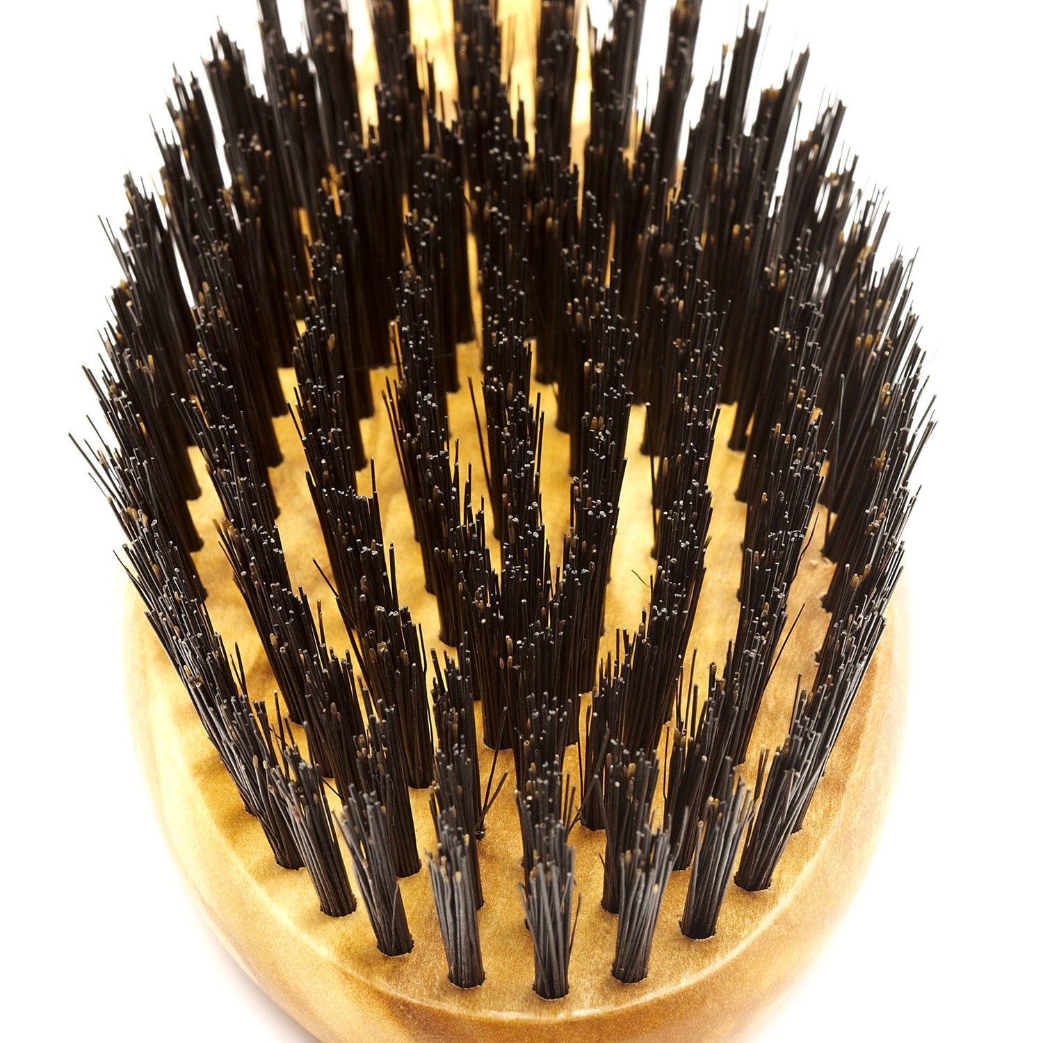 Men's Olivewood Bristle Hairbrush - Made in Germany Hair Brush Fendrihan