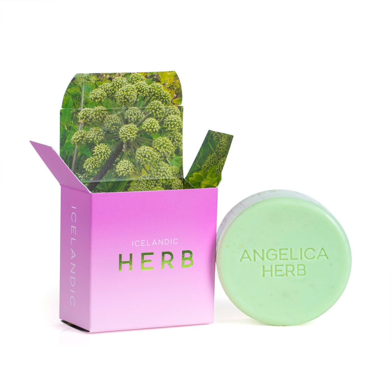 Halló Sápa Icelandic Angelica Herb Soap Body Soap Halló Sápa