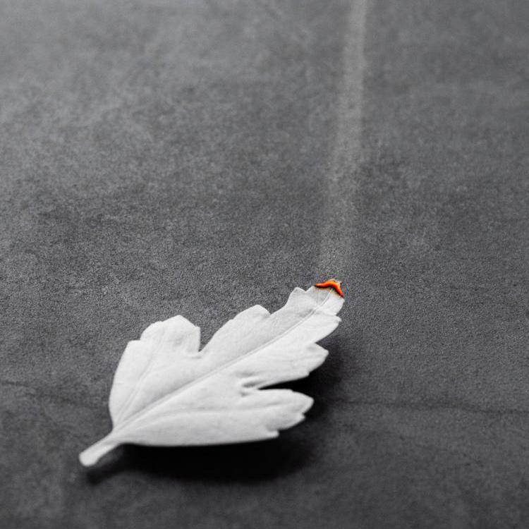 HA KO Paper Incense, White Incense HA KO