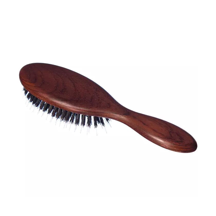 Plisson Hair Brush, Boar Bristles and Nylon Pins, Small Hair Brush Plisson - Joris
