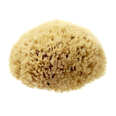 Hydrea London Natural Honeycomb Sea Sponge Sea Sponge The Natural Sea Sponge Co 5-5.5" 