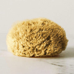 Hydrea London Natural Honeycomb Sea Sponge Sea Sponge The Natural Sea Sponge Co 