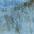 Tanaka Blue