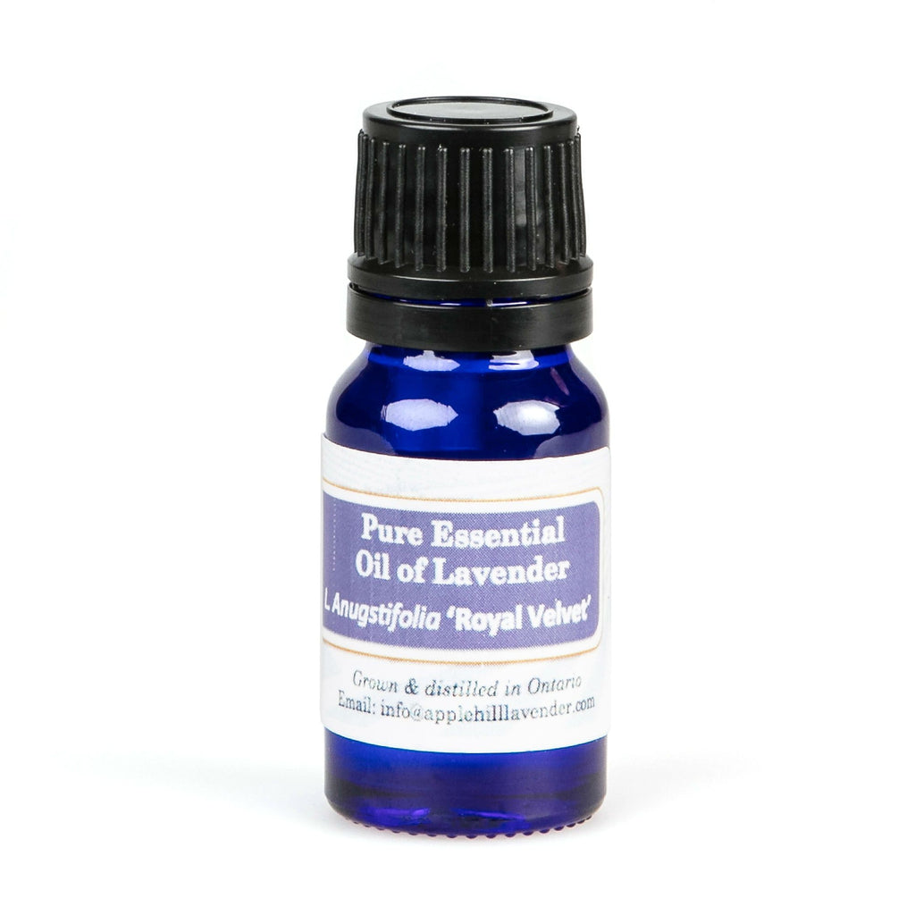 Apple Hill Lavender Essential Oil, English Royal Velvet Essential Oil Apple Hill Lavender 