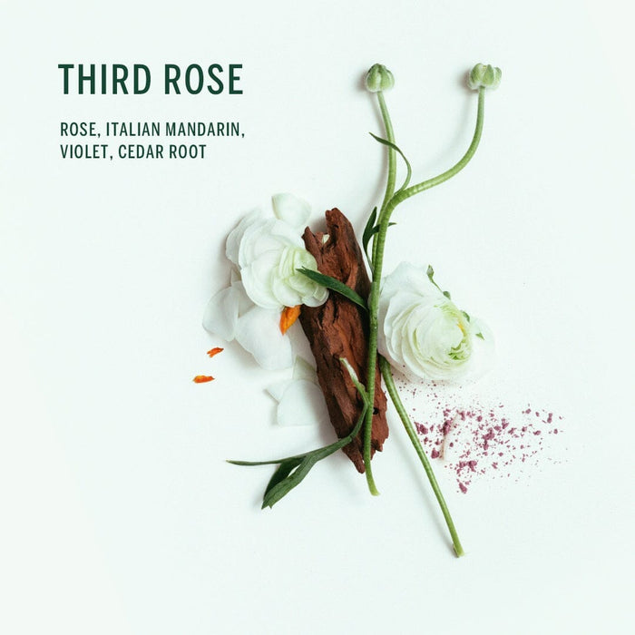 CORPUS Naturals Body Wash Men's Body Wash CORPUS 