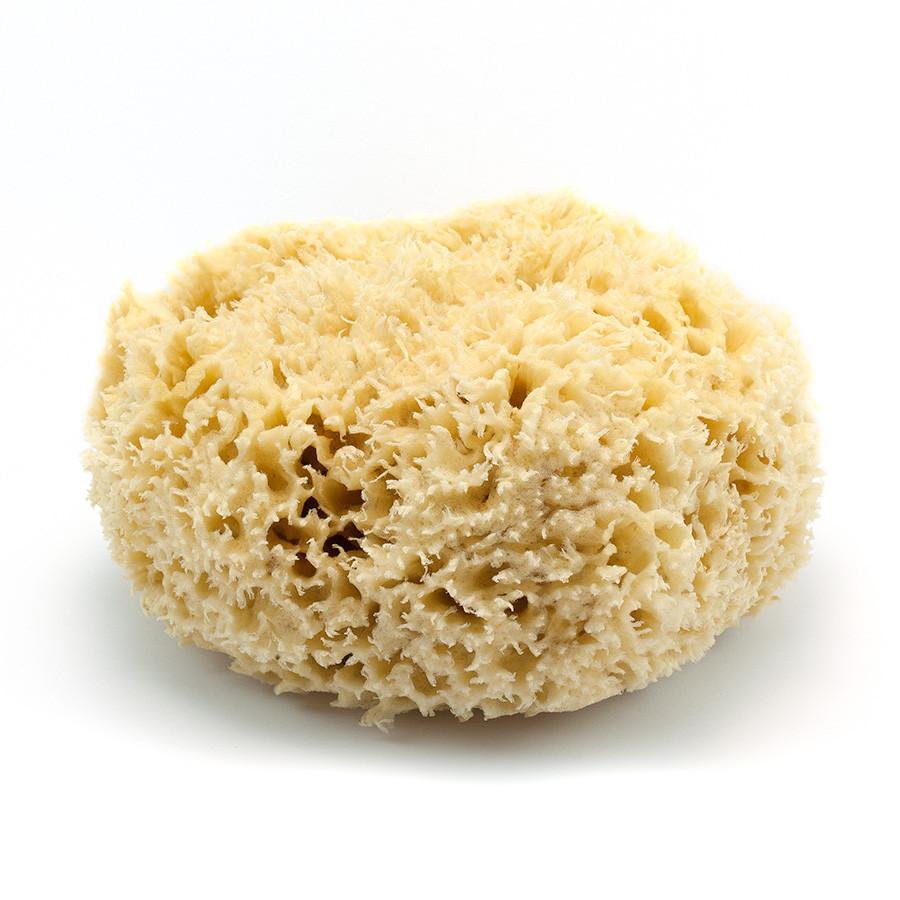 Rock Island Natural Sea Wool Sponge, 7" Large Sea Sponge Fendrihan 