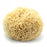 Caribbean Natural Sea Wool Sponge, 7" Large Sea Sponge Fendrihan 