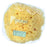 The Natural Sea Sponge Company East Mediterranean Honeycomb Sea Sponge, 5" Sea Sponge The Natural Sea Sponge Co 