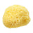 The Natural Sea Sponge Company East Mediterranean Honeycomb Sea Sponge, 5" Sea Sponge The Natural Sea Sponge Co 