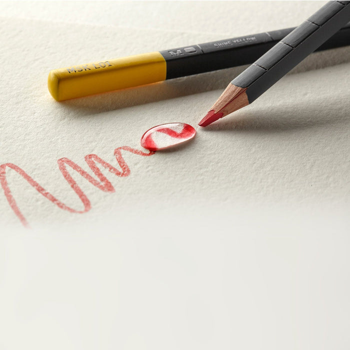 Moleskine 12 Watercolour Pencils Pencils Moleskine 