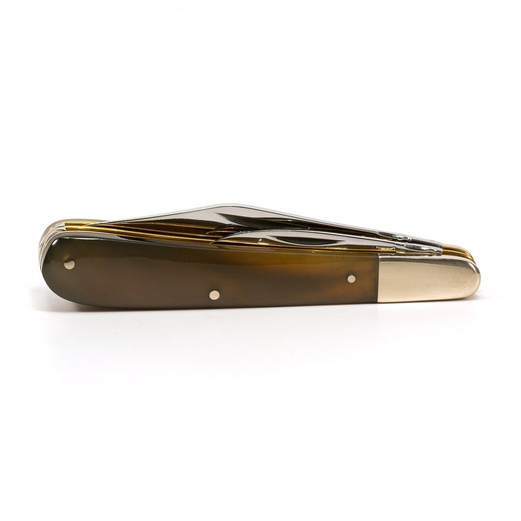 Taylor's Eye Witness Premier Collection Twin Blade Gentleman Clip Point Pocket Knife, Rams Horn Pocket Knife Taylor's Eye Witness 